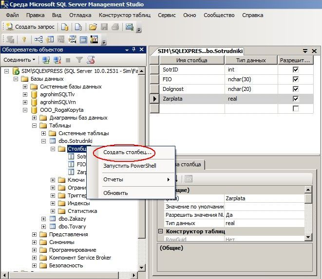 Внести в базу. База данных MS SQL. Таблицы базы данных SQL Server. MS SQL Server 2008 база данных. Конструкторы таблиц SQL Server Management Studio.